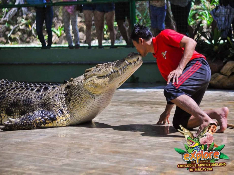 Interactive show at Crocodile Adventureland Langkawi